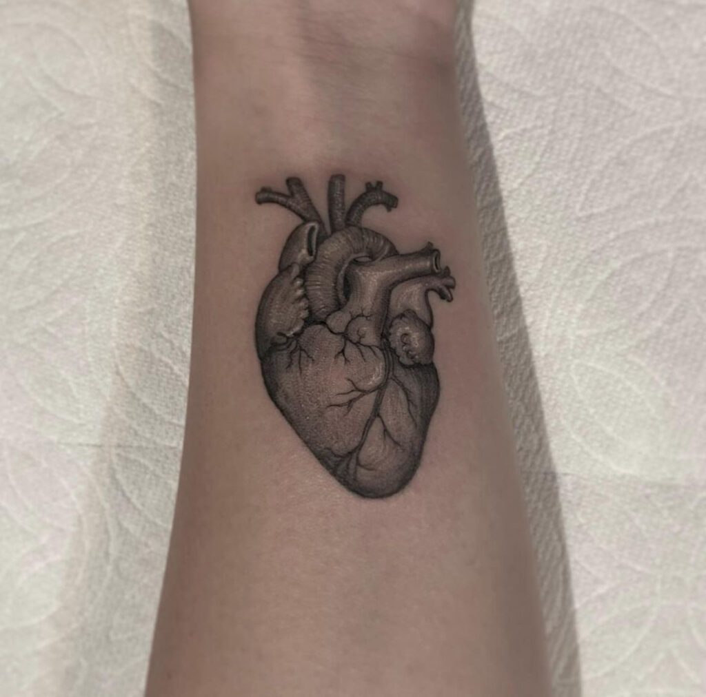 Single needle anatomical heart tattoo